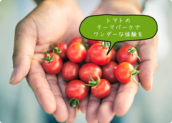 株式会社ワンダーファーム
